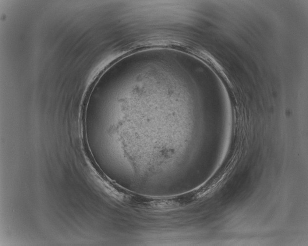 X0000068850795200605081213