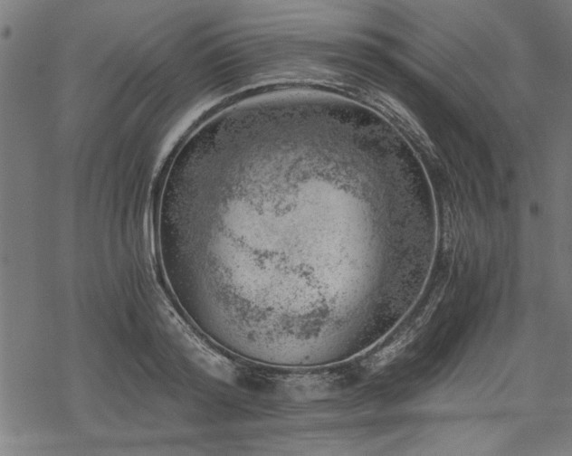 X0000068850796200605081213