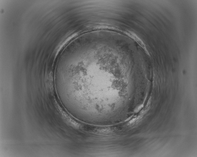 X0000068850798200605081213