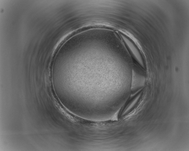 X0000068850799200605081213