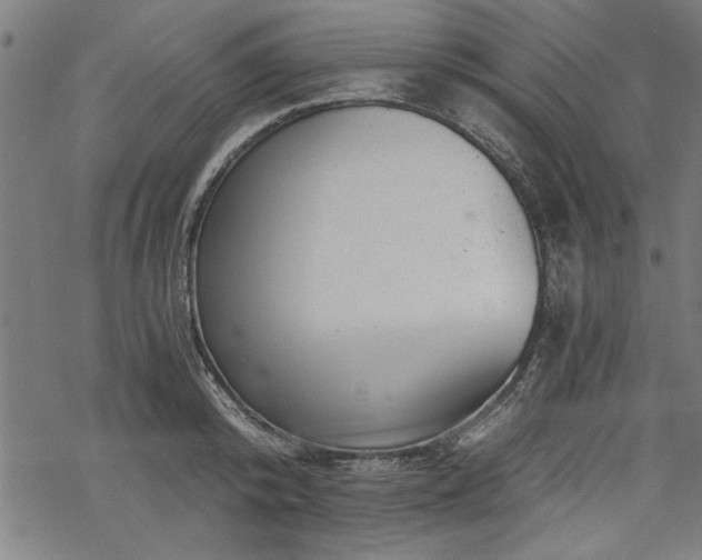 X0000068850800200605081213