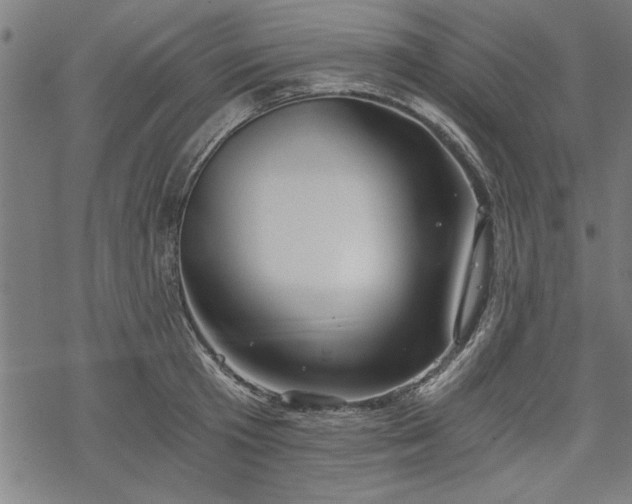 X0000068850801200605081213