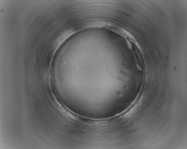 X0000068850802200605081213