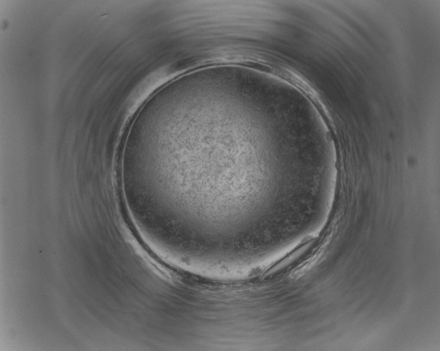 X0000068850803200605081213