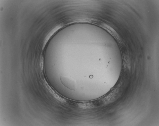 X0000068850804200605081213