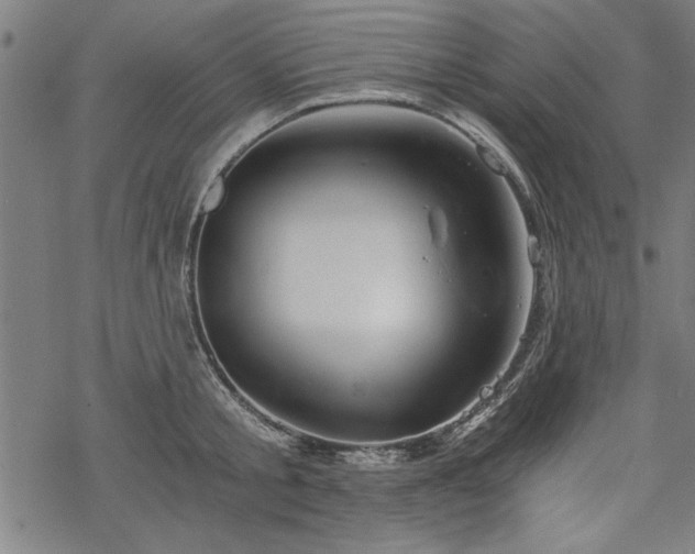 X0000068850805200605081213