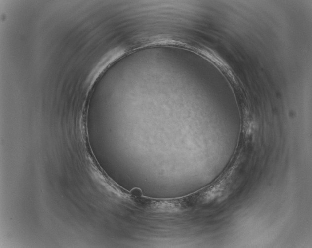 X0000068850806200605081213