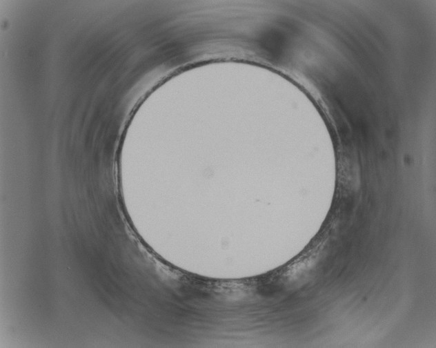 X0000068850807200605081213