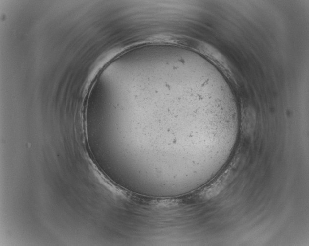 X0000068850808200605081213