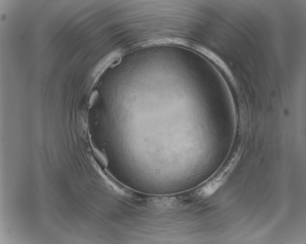 X0000068850809200605081213