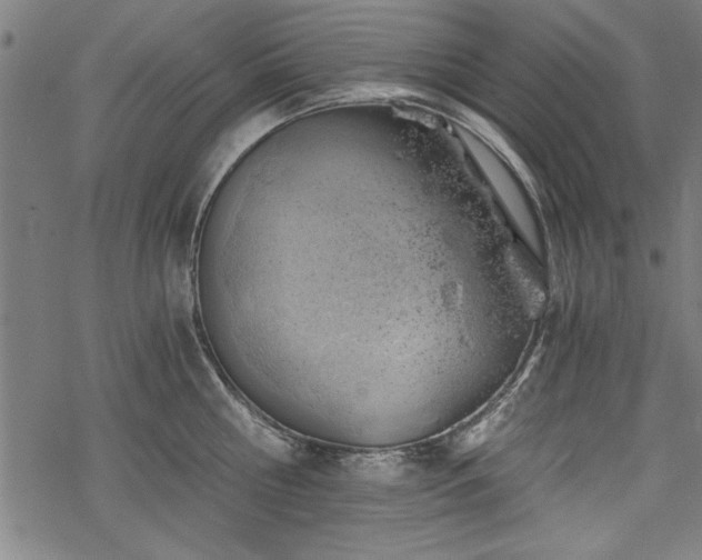 X0000068850810200605081213