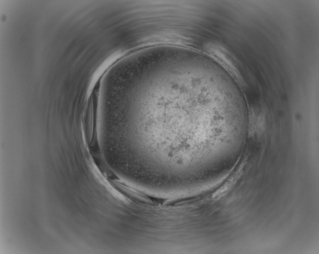 X0000068850812200605081213