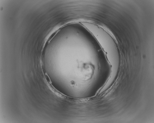 X0000068850813200605081213