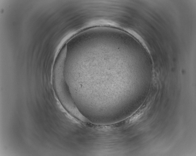 X0000068850815200605081213