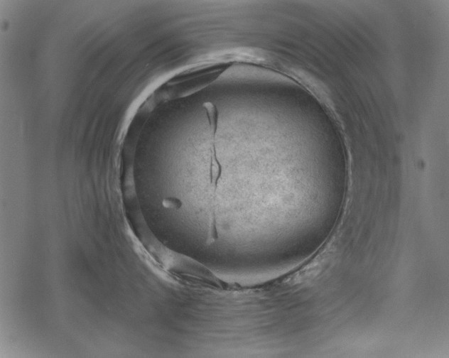 X0000068850816200605081213