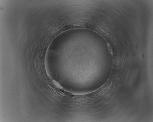 X0000068850817200605081212