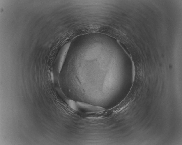 X0000068850818200605081212