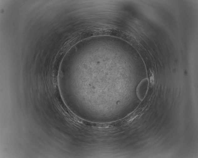 X0000068850819200605081212