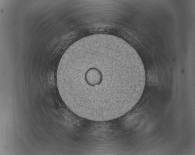 X0000068850820200605081212