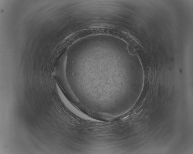 X0000068850821200605081212