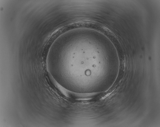 X0000068850822200605081212