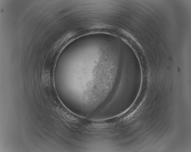 X0000068850825200605081212