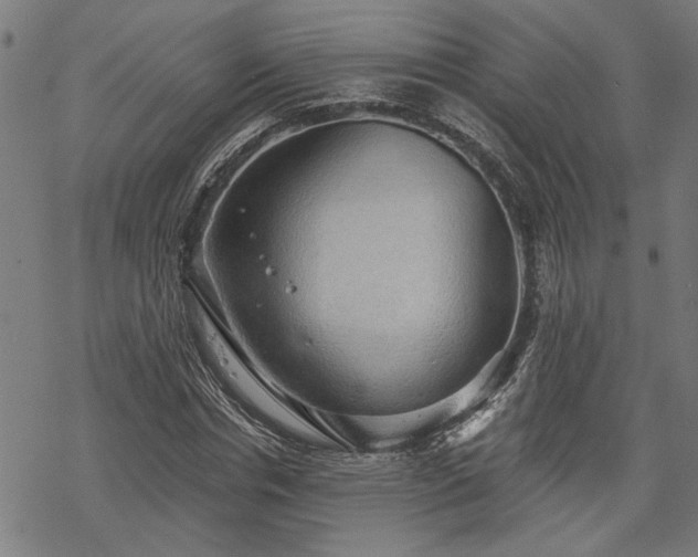 X0000068850826200605081212