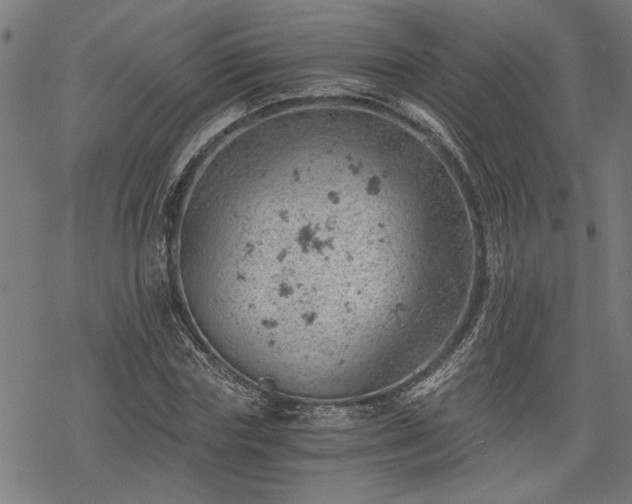 X0000068850827200605081212