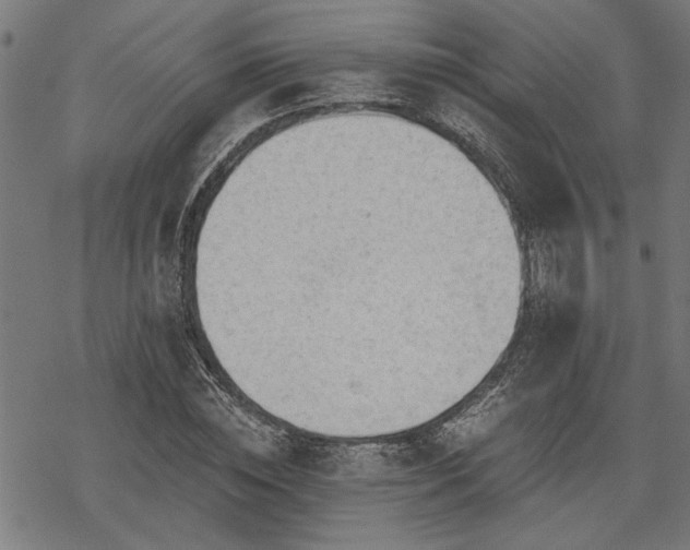 X0000068850828200605081212