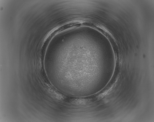 X0000068850829200605081212