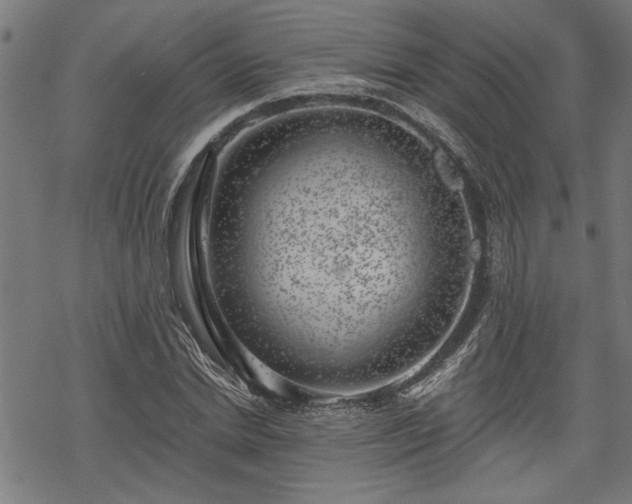 X0000068850830200605081212