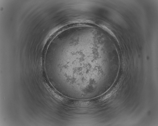 X0000068850831200605081212