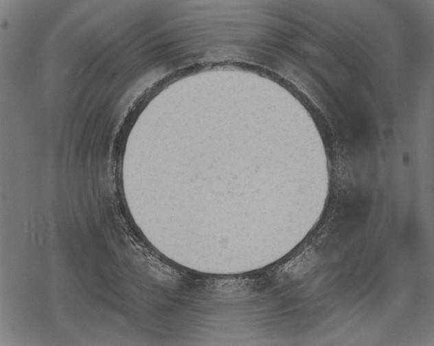 X0000068850832200605081213