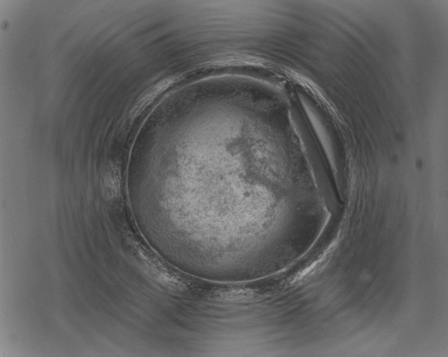 X0000068850833200605081213