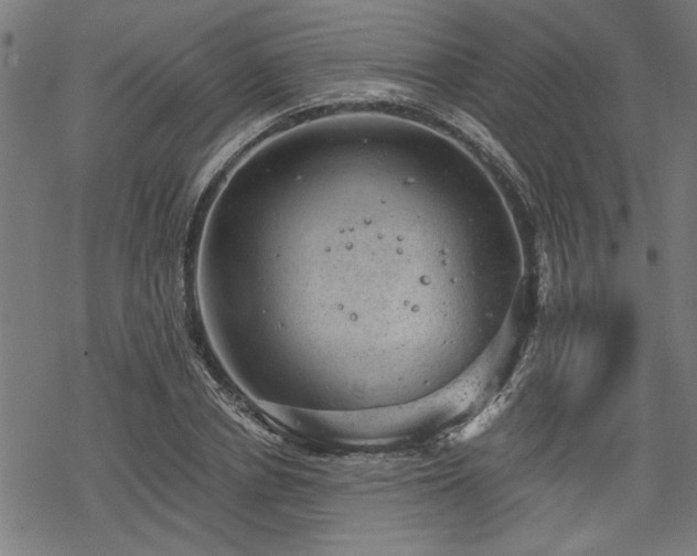 X0000068850834200605081213