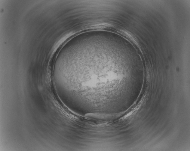 X0000068850835200605081213