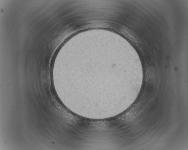 X0000068850836200605081213