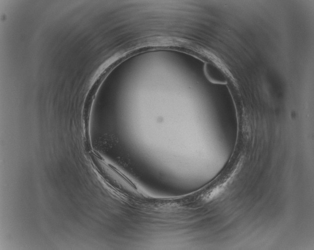 X0000068850837200605081213