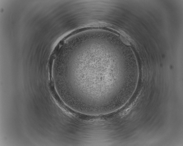 X0000068850838200605081213