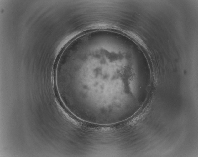 X0000068850839200605081213