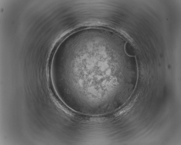 X0000068850840200605081213