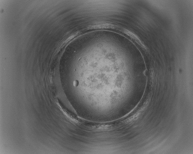 X0000068850841200605081213