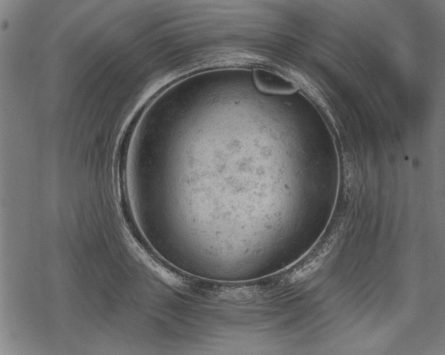 X0000068850843200605081213