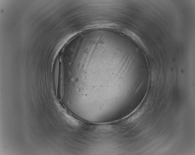 X0000068850844200605081213