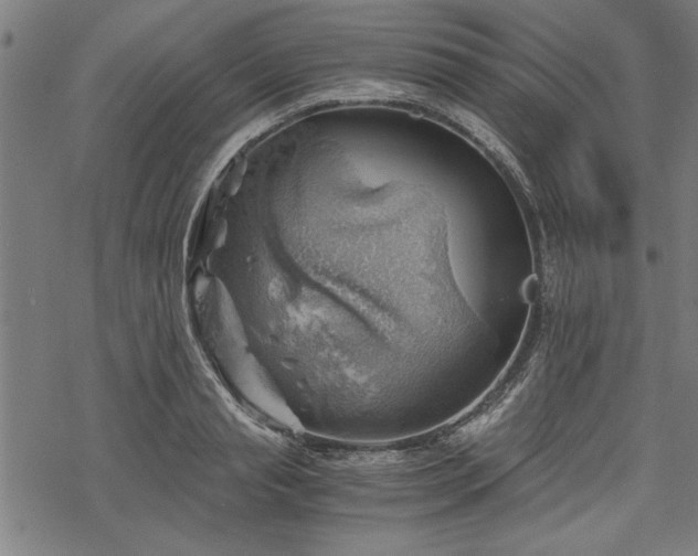 X0000068850845200605081213