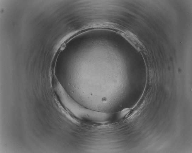 X0000068850846200605081213