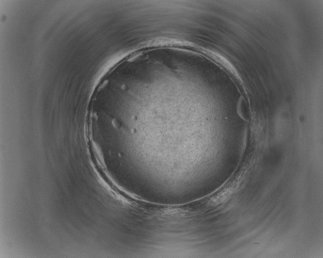 X0000068850847200605081213