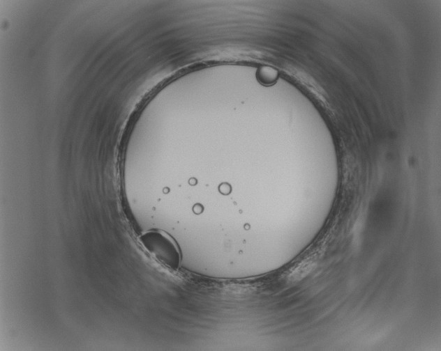 X0000068850848200605081213