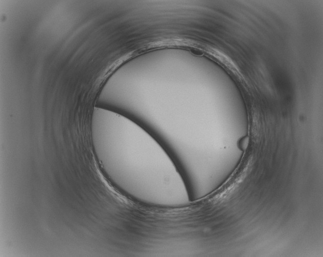 X0000068850849200605081213