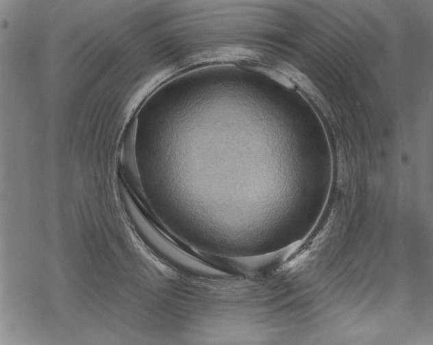 X0000068850850200605081213